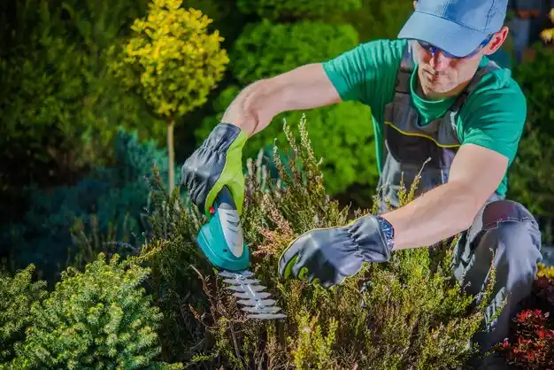 landscaping services Kansas City